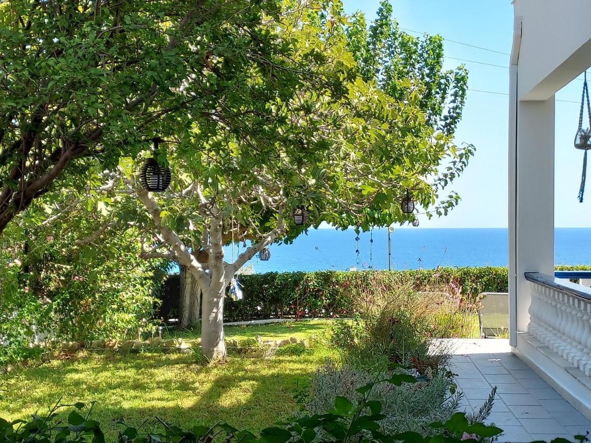 Villa Stegna Archangelos  Exterior foto